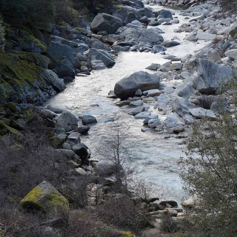 Flowing river winding peacefully through forested landscape